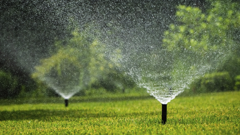 MS Irrigation - Irrigation