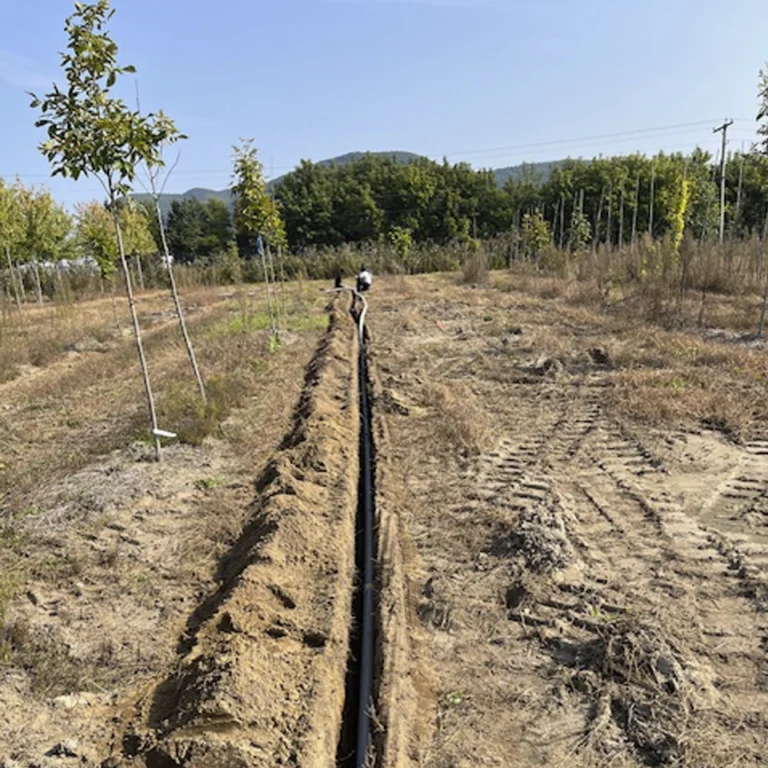 MS Irrigation - Irrigation pépinière