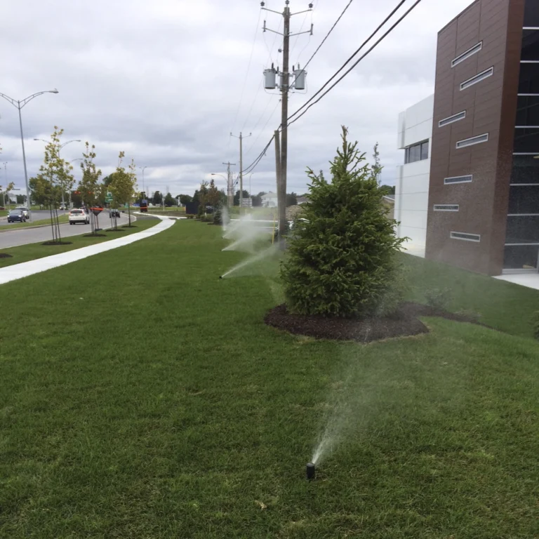 MS Irrigation - Irrigation gazon